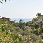 Southwest canyon view